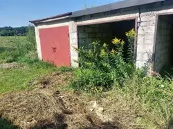 Zdjęcie 1