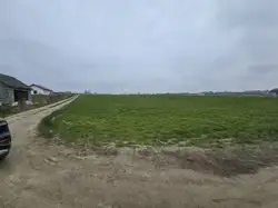 Zdjęcie 1