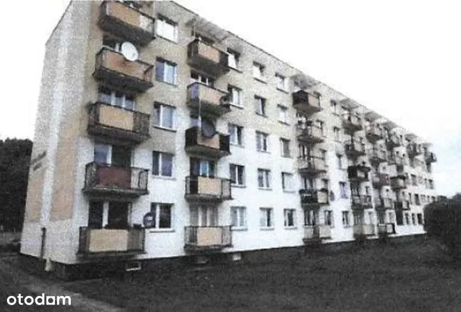 Zdjęcie 1