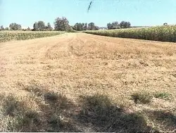 Zdjęcie 1