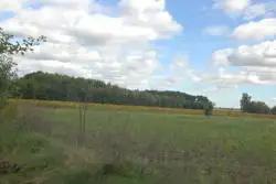 Zdjęcie 1
