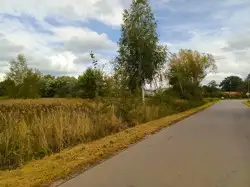 Zdjęcie 1