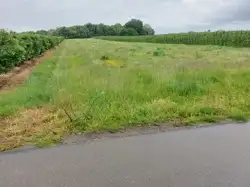 Zdjęcie 1