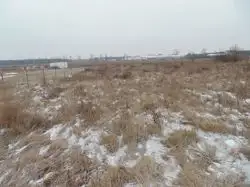 Zdjęcie 1