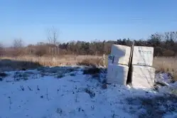 Zdjęcie 1