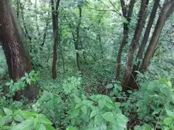 Zdjęcie 1