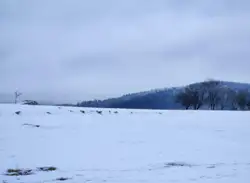 Zdjęcie 1