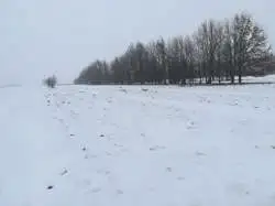 Zdjęcie 1