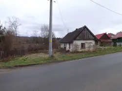 Zdjęcie 1