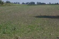 Zdjęcie 1