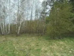 Zdjęcie 1