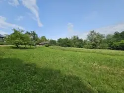 Zdjęcie 1