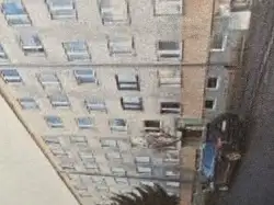 Zdjęcie 1