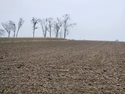 Zdjęcie 1