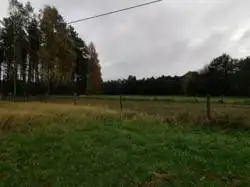 Zdjęcie 1