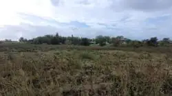 Zdjęcie 1
