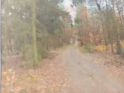 Zdjęcie 1