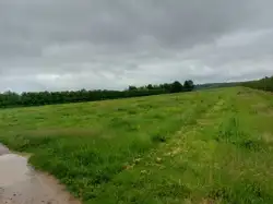 Zdjęcie 1