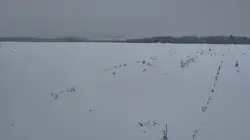 Zdjęcie 1