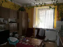 Zdjęcie 1