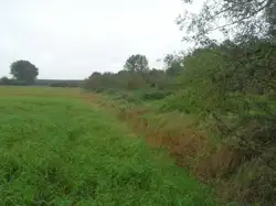 Zdjęcie 1