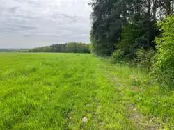 Zdjęcie 1