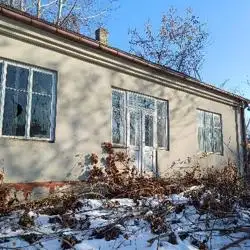 Zdjęcie 1