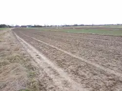 Zdjęcie 1
