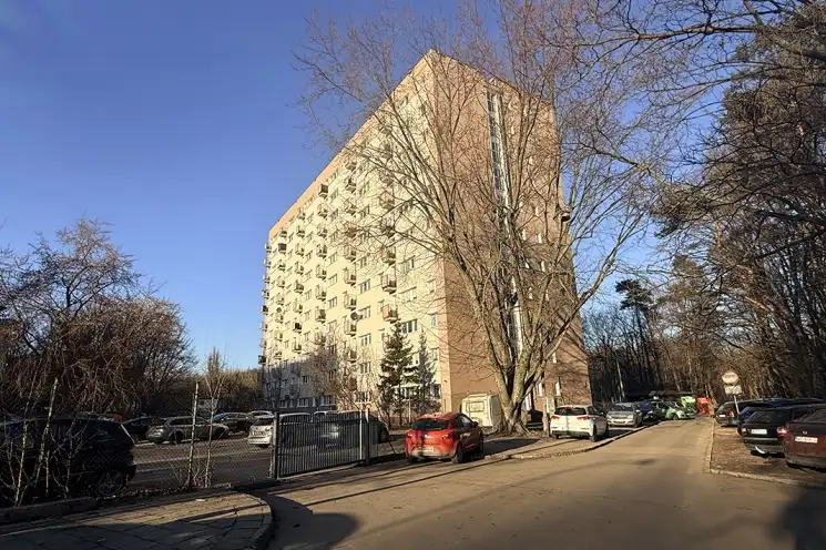 Zdjęcie 1