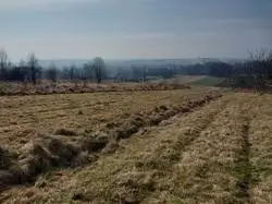 Zdjęcie 1