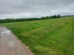Zdjęcie 1