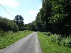Zdjęcie 1