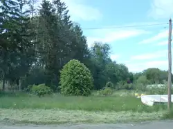 Zdjęcie 1
