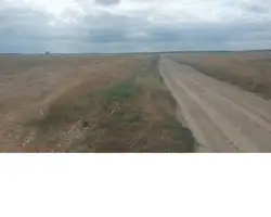 Zdjęcie 1