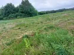 Zdjęcie 1