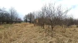 Zdjęcie 1