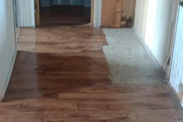 Zdjęcie 1