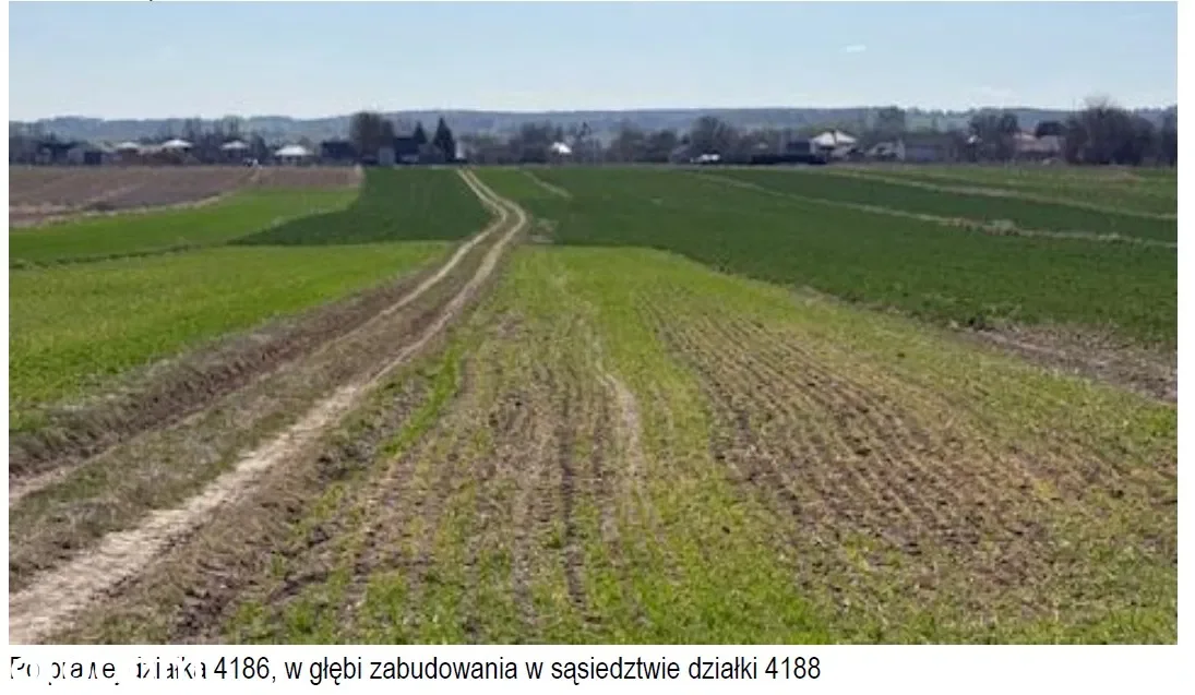 Zdjęcie 1