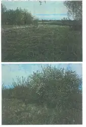 Zdjęcie 1