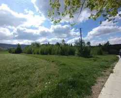 Zdjęcie 1