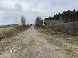Zdjęcie 1