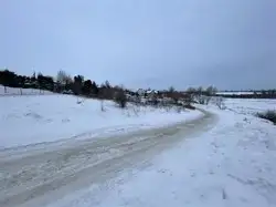 Zdjęcie 1