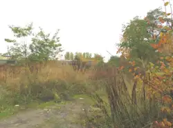 Zdjęcie 1