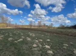 Zdjęcie 1