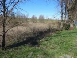 Zdjęcie 1