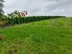 Zdjęcie 1