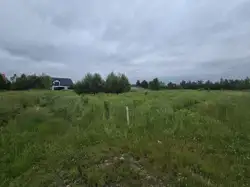 Zdjęcie 1