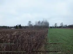 Zdjęcie 1