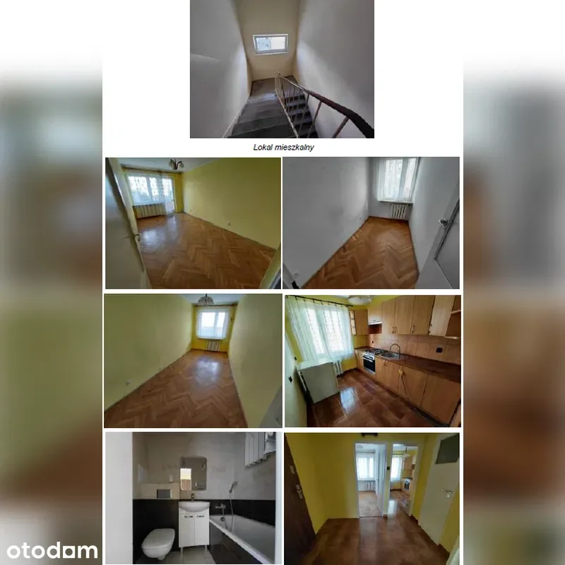 Zdjęcie 1