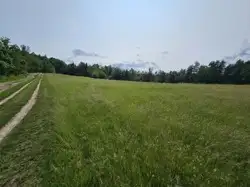 Zdjęcie 1